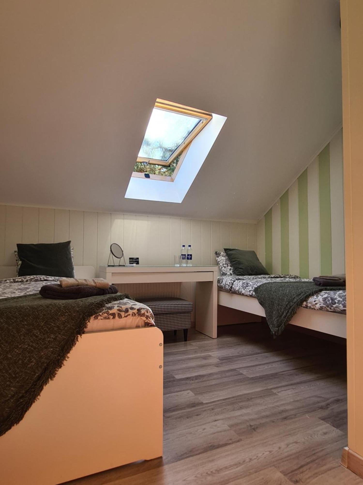 Guest House Kaktus 里加 客房 照片